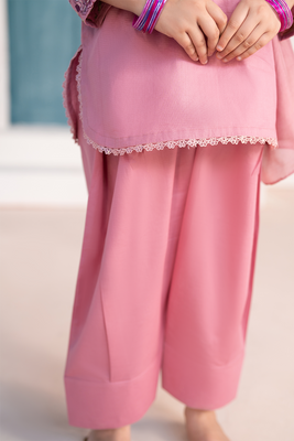 Embroidered 3PC | Dusty Rose