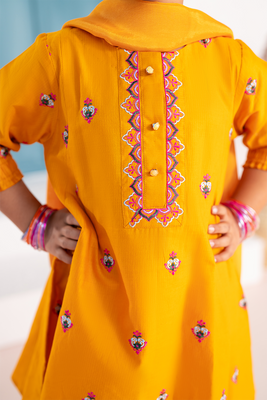 Embroidered 3Pc | Marigold Orange