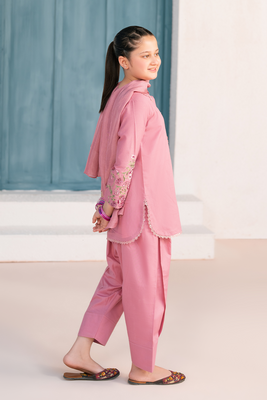 Embroidered 3PC | Dusty Rose